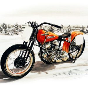 N14 Harley Davidson - Racing