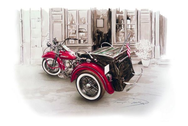 N48 Harley Davidson - Servicar