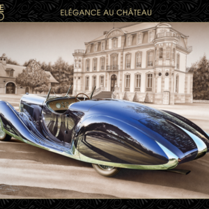 P6 - Puzzle 1 000 pièces - Elegance au Chateau