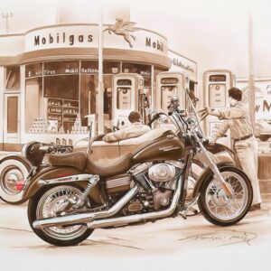 N49 Harley Davidson - Street Bob